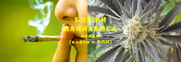 винт Белокуриха