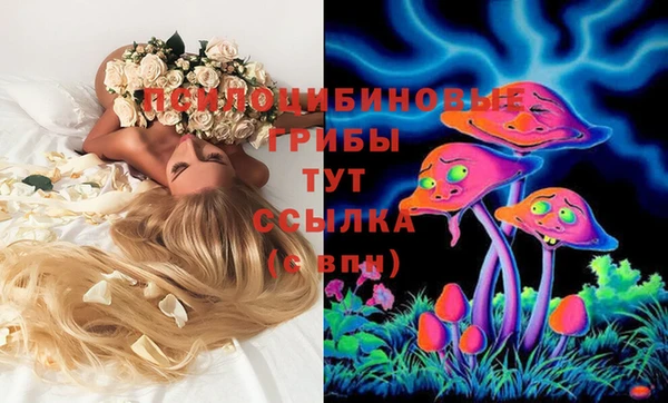 винт Белокуриха