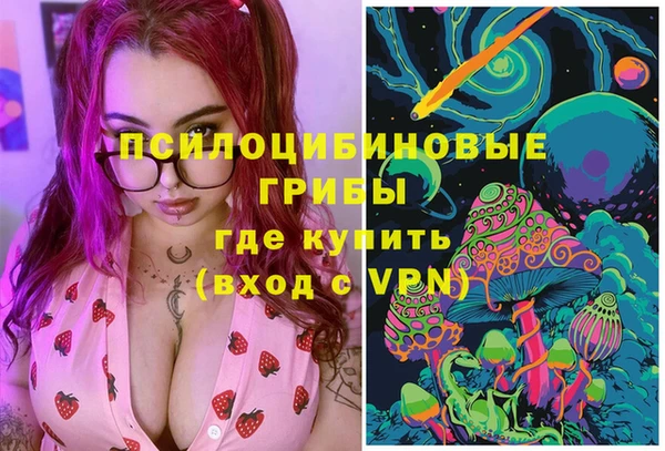 PSILOCYBIN Беломорск