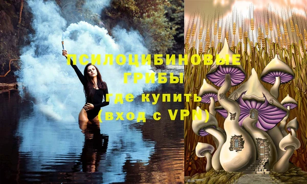винт Белокуриха