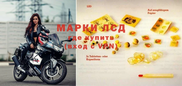 PSILOCYBIN Беломорск