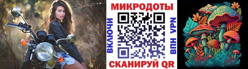 Галлюциногенные грибы GOLDEN TEACHER  Верхняя Пышма 