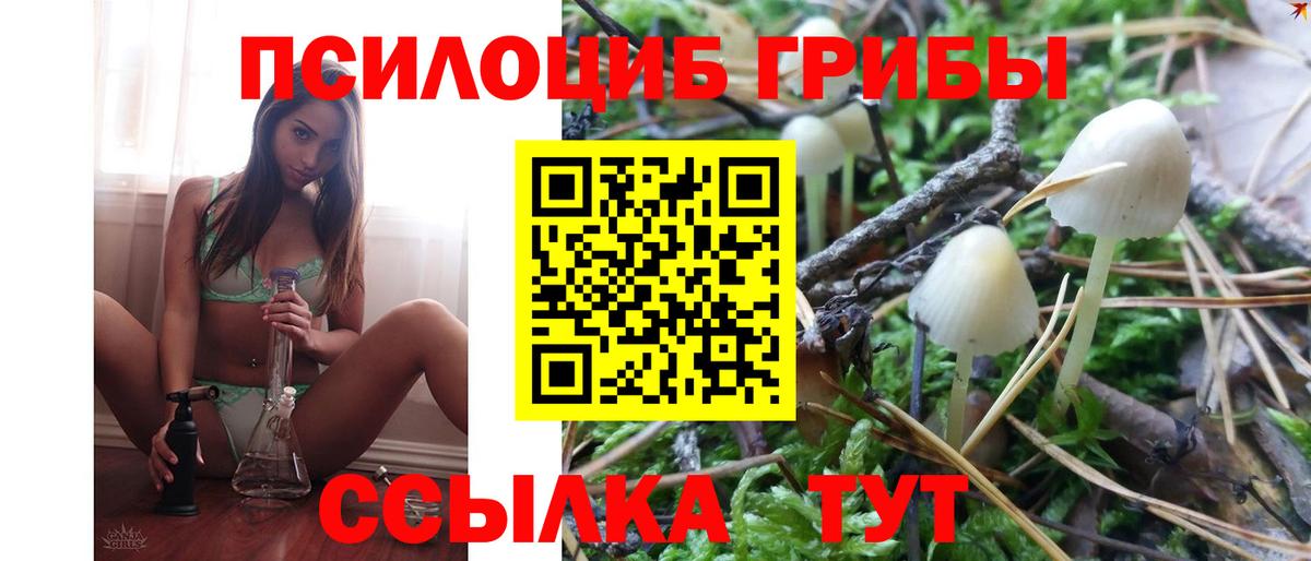 Псилоцибиновые грибы GOLDEN TEACHER Верхняя Пышма